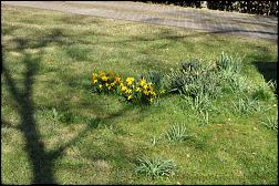 birkenhof 2012-03-25-[13].jpg