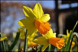 birkenhof 2012-03-25-[15].jpg