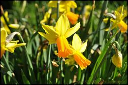 birkenhof 2012-03-25-[14].jpg