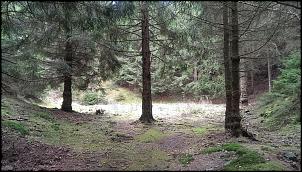 Klicken Sie auf die Grafik fr eine grere Ansicht 

Name:	taternbruch goslar (1).jpg 
Hits:	169 
Gre:	350,2 KB 
ID:	16171