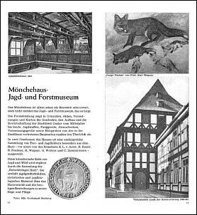 Mönchehaus - Jagd u. Forstmuseum.jpg