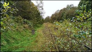 Klicken Sie auf die Grafik fr eine grere Ansicht 

Name:	goslar rammelsberg, erzbahn oker bollrich (79).jpg 
Hits:	107 
Gre:	829,9 KB 
ID:	14993