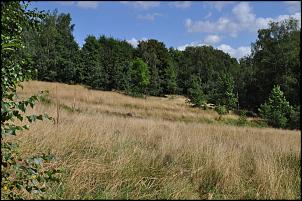 Klicken Sie auf die Grafik fr eine grere Ansicht 

Name:	goslar rammelsberg barbarastollen 2016-08-09 [04].jpg 
Hits:	119 
Gre:	831,6 KB 
ID:	15958