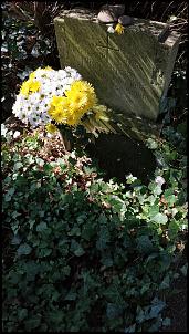 Klicken Sie auf die Grafik für eine größere Ansicht 

Name:	Friedhof-Grauhof-07.jpg 
Hits:	27 
Größe:	248,2 KB 
ID:	18009