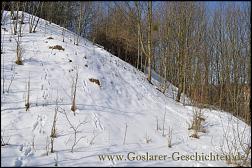 Klicken Sie auf die Grafik fr eine grere Ansicht 

Name:	goslar petersberg bunker7.jpg 
Hits:	36 
Gre:	453,5 KB 
ID:	6521