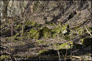 Klicken Sie auf die Grafik fr eine grere Ansicht 

Name:	goslar, sandgrube osterfeld petersberg 12.jpg 
Hits:	86 
Gre:	763,5 KB 
ID:	13887